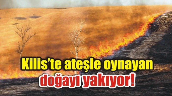 Kilis’te ateşle oynayan doğayı yakıyor!