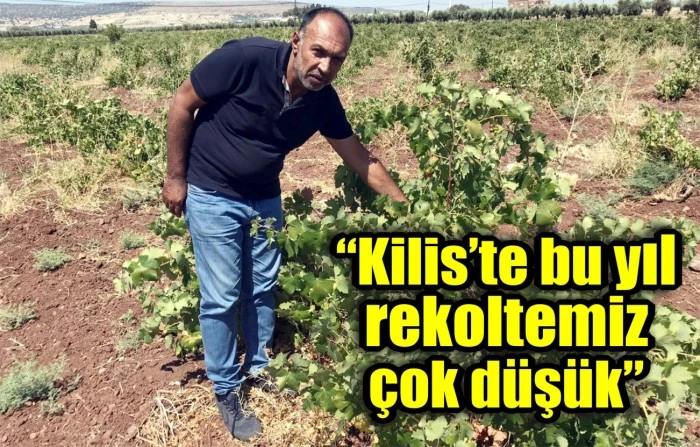 “Kilis’te bu yıl rekoltemiz çok düşük”