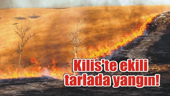 Kilis'te ekili tarlada yangın!