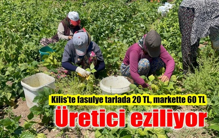 Kilis’te fasulye tarlada 20 TL, markette 60 TL! Üretici eziliyor