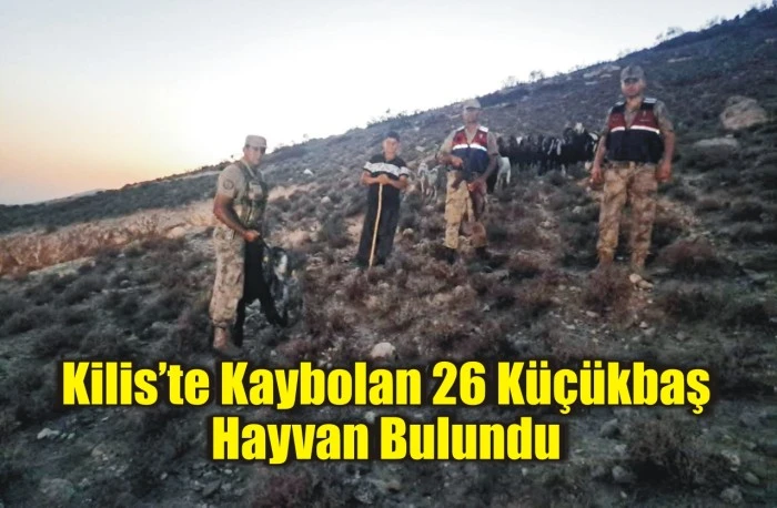 Kilis’te Kaybolan 26 Küçükbaş Hayvan Bulundu