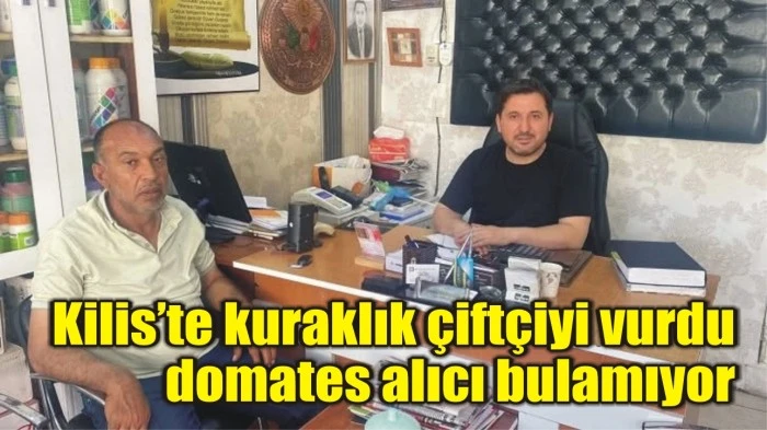 Kilis’te kuraklık çiftçiyi vurdu domates alıcı bulamıyor