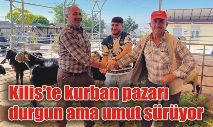 Kilis’te kurban pazarı durgun ama umut sürüyor