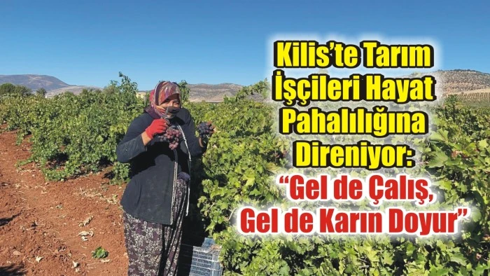 Kilis’te Tarım İşçileri Hayat Pahalılığına Direniyor: “Gel de Çalış, Gel de Karın Doyur”