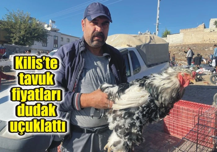 Kilis’te tavuk fiyatları dudak uçuklattı