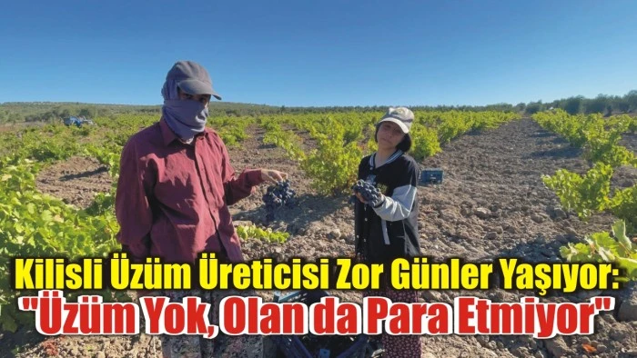 Kilisli Üzüm Üreticisi Zor Günler Yaşıyor: "Üzüm Yok, Olan da Para Etmiyor"