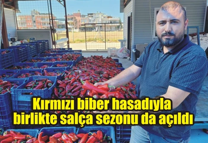 Kırmızı biber hasadıyla birlikte salça sezonu da açıldı