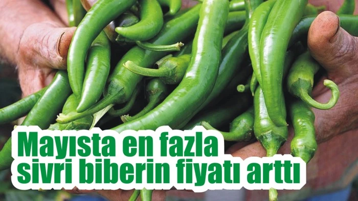 Mayısta en fazla sivri biberin fiyatı arttı