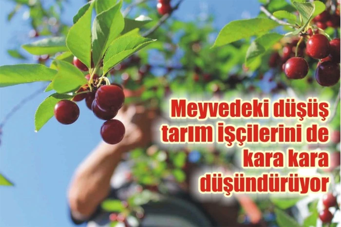 Meyvedeki düşüş tarım işçilerini de kara kara düşündürüyor