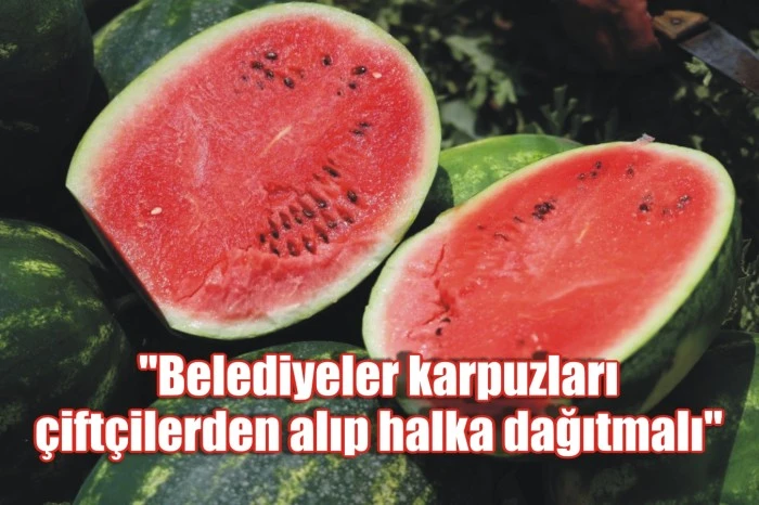 "Belediyeler karpuzları çiftçilerden alıp halka dağıtmalı"