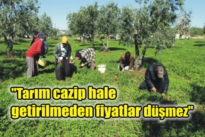 "Tarım cazip hale getirilmeden fiyatlar düşmez"