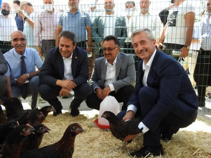 ŞAHİNBEY'DE 60 BİN CANLI TAVUK DAĞITILDI