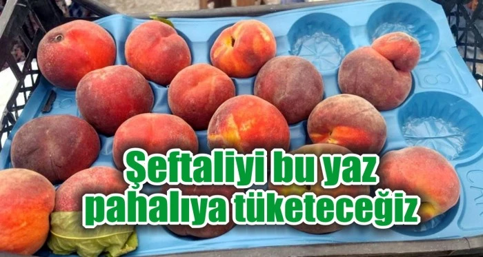Şeftaliyi bu yaz pahalıya tüketeceğiz