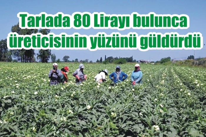 Tarlada 80 Lirayı bulunca üreticisinin yüzünü güldürdü