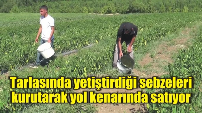 Tarlasında yetiştirdiği sebzeleri kurutarak yol kenarında satıyor