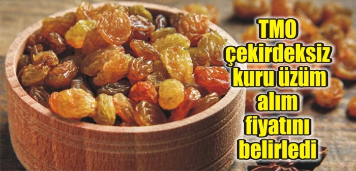 TMO çekirdeksiz kuru üzüm alım fiyatını belirledi