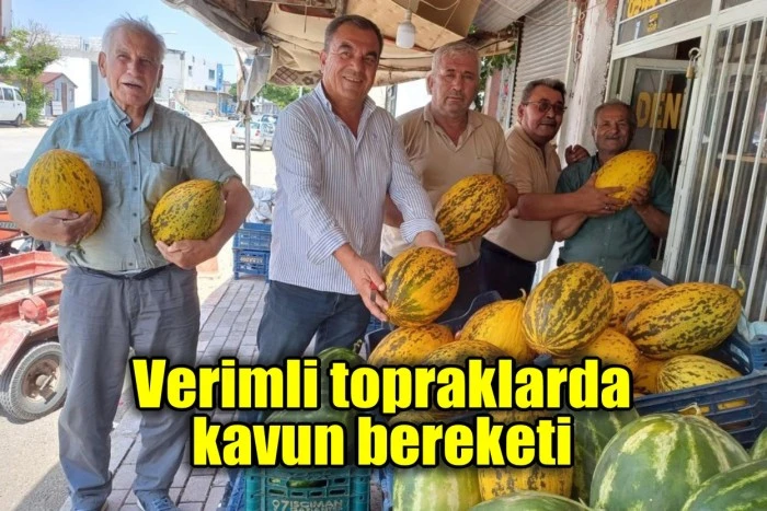 Verimli topraklarda kavun bereketi
