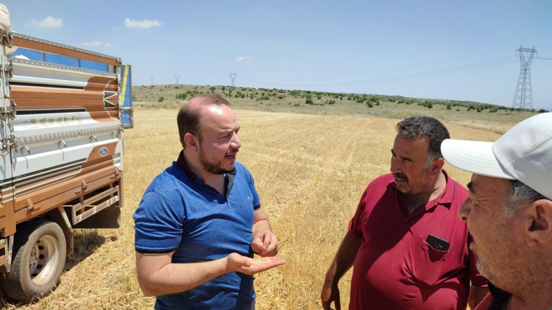 ZİRAAT ODASI HUBUBAT HASAT SEZONUNDA TEDBİRLERİ UYGULUYOR