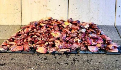 1 ton 700 kilo mühürsüz et ele geçirildi