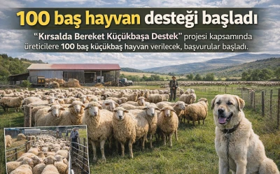 100 baş hayvan desteği başladı