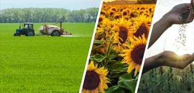 116 milyon liralık tarımsal destekleme ödemesi hesaplara aktarıldı