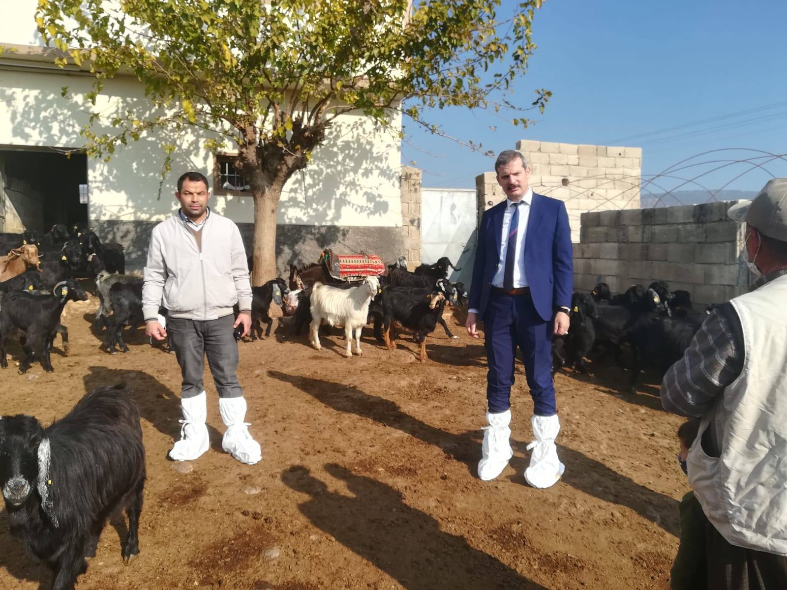 KÖKÇÜOĞLU BESİCİLERLE GÖRÜŞTÜ