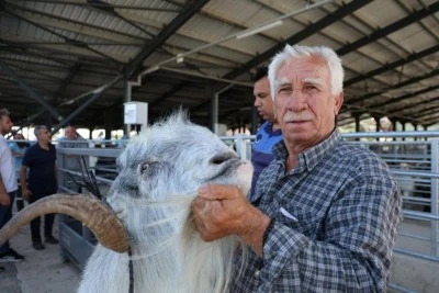 153 kiloluk teke dikkat çekti!
