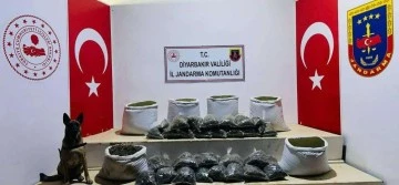 226 kilo esrar ele geçirildi