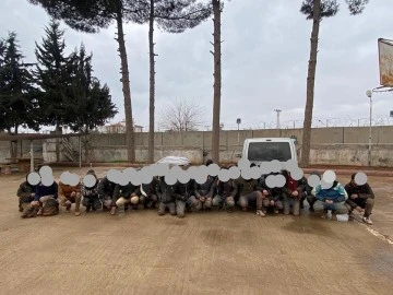 37 düzensiz Göçmen Jandarmaya yakalandı