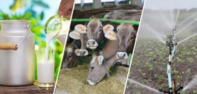 4.5 milyar liralık destekleme ödemesi bugün hesaplara aktarılıyor