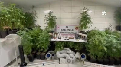 5 İlde Narkotik Operasyonu: 346 Ş&uuml;pheli Yakalandı