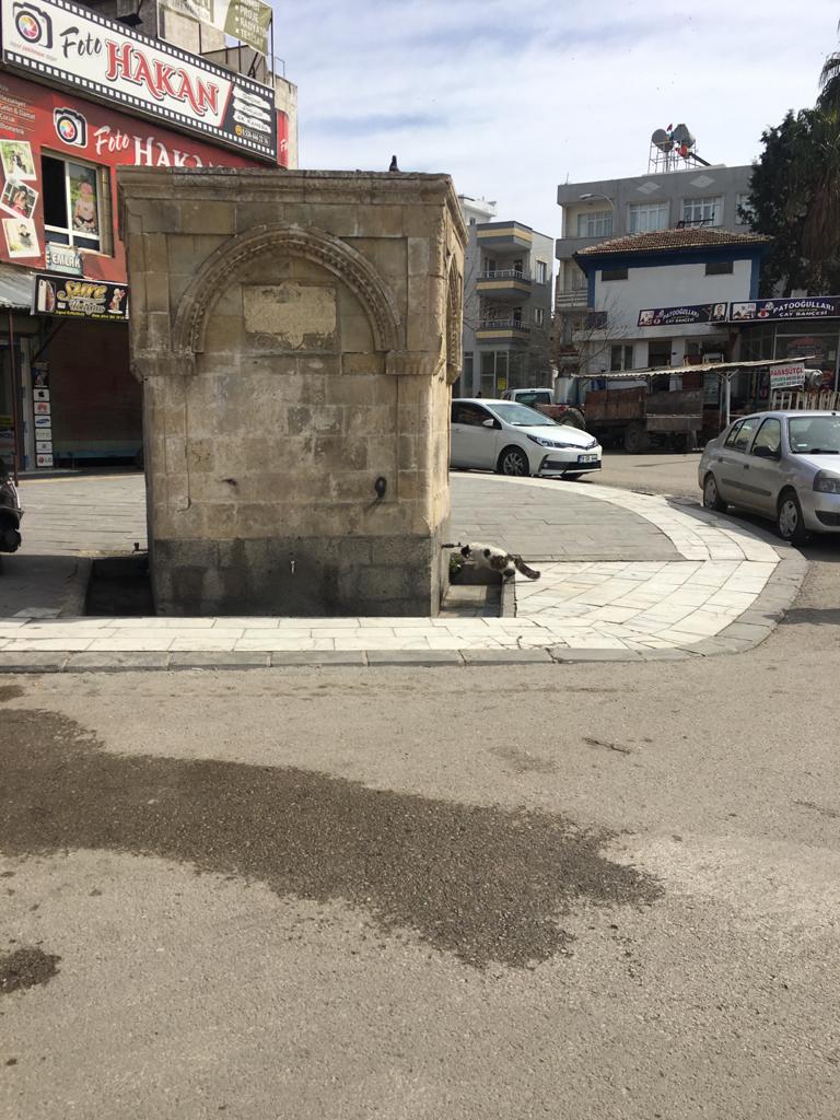 BELLİ Kİ ÇOK SUSAMIŞ!