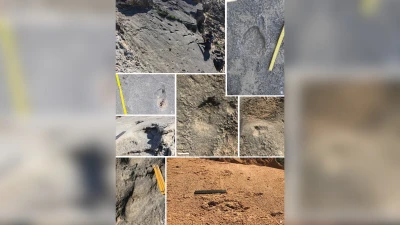 78 Bin Yıl Öncesine Ait Ayak İzi Keşfedildi!