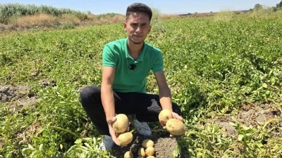 8 ton patatesi ücretsiz dağıttı