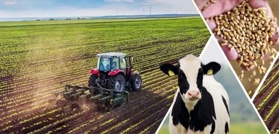 865 milyon liralık destekleme ödemesi hesaplara aktarıldı