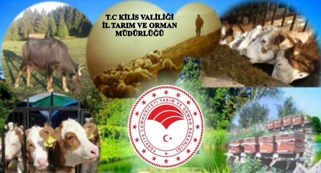 2020 YILI HAYVANCILIK DESTEKLEME ÖDEMELERİ YAPILDI