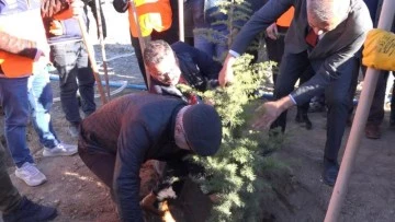 Ağaçlandırma seferberliği