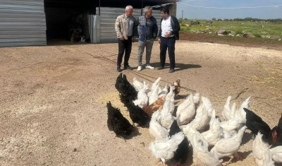 Ankara da ki Şehrin Stresini Bıraktı, Kilis Yavuzlu K&ouml;y&uuml;nde Yeni Bir Hayat Kurdu