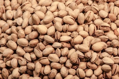 Antep Fıstığında Yeni Sezon Fiyatları Belli Oldu: Kırmızı Fıstık 450-500 TL'den Alıcı Buluyor