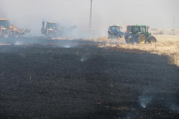ARABAN'DA 220 DÖNÜM BUĞDAY TARLASI YANDI