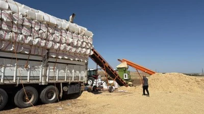 Aşırı sıcakta saman mesaisi