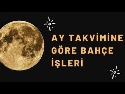 AY TAKVİMİNE GÖRE AĞAÇ VE FİDE DİKİMİ