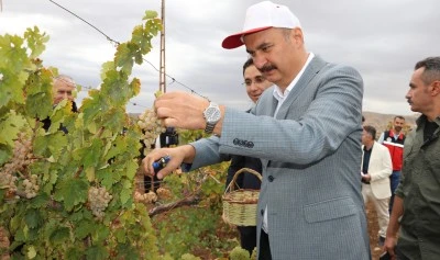 Bağ Bozumu ve Gastronomi Festivalinde renkli görüntüler