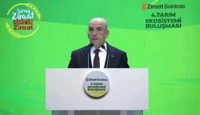 Bakan Şimşek'ten enflasyon açıklaması