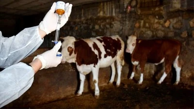 Bakanlıktan &quot;Şap hastalığı&quot; ile ilgili açıklama