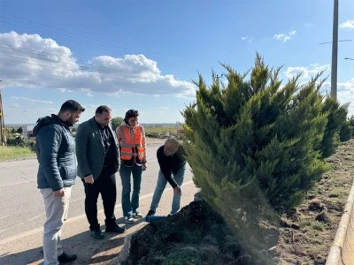 Başkan Bilecen ağaçların kesilmesini önledi