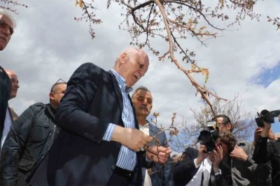 Bayraktar: &quot;Kayısıda yüzde yüzlere varan zarar tespit ettik&quot;