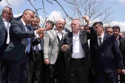 Bayraktar, zirai dondan etkilenen bahçeleri inceledi