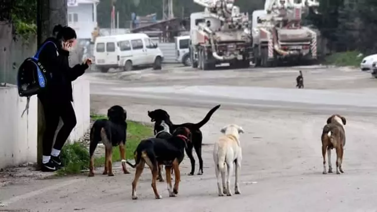 Belediyelere uyarı: Doğacak her zarardan birim amirleri de sorumlu