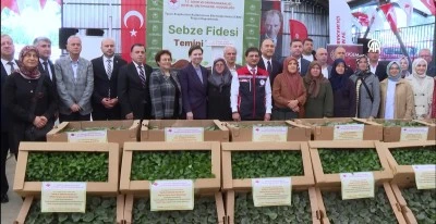Bin 153 çiftçiye 740 bin sebze fidesi dağıtıldı